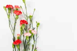 Free photo spring flowers background with copyspace