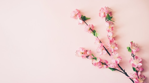 Spring flowers background with copyspace 