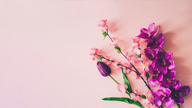 Spring flowers background with copyspace