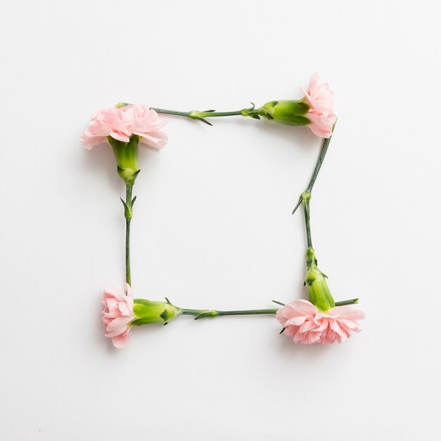 Spring flowers background with frame concept