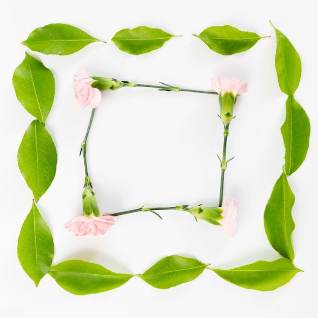 Spring flowers background with frame concept