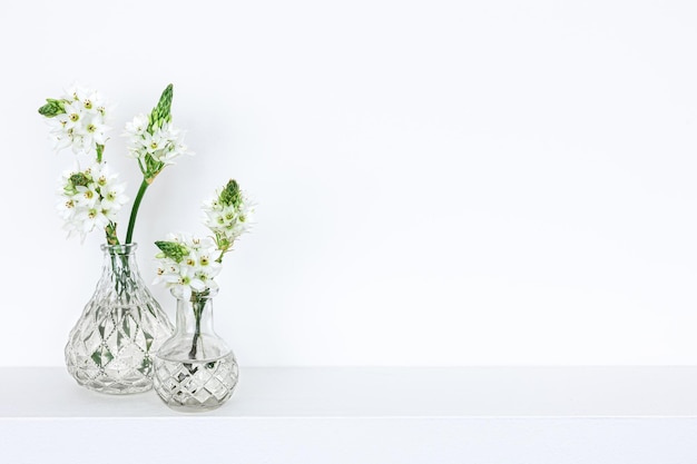 Spring flowers in glass vases isolated on white background