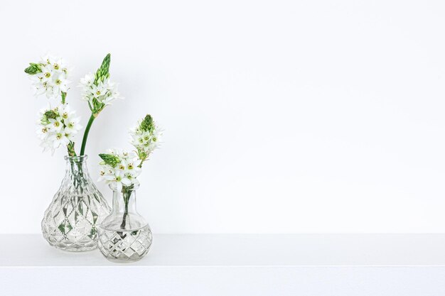 Весенние цветы в стеклянных вазах на белом фоне
