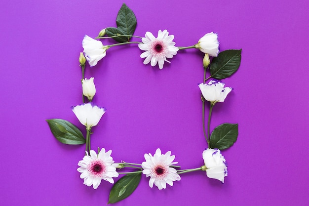 Spring flowers and leaves frame on violet background