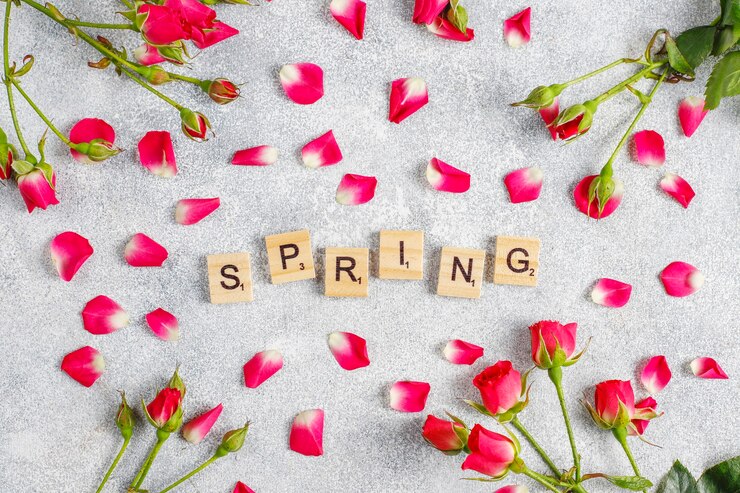 मुफ़्त फोटो spring greeting card with rose flowers.
