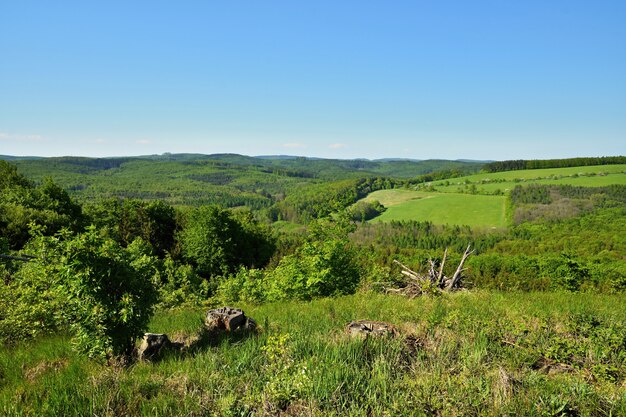 Весенний пейзаж в Чешской Республике. Европа. Лес и голубое небо.