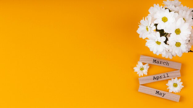 Spring month names on wooden pieces with white flowers and copy space