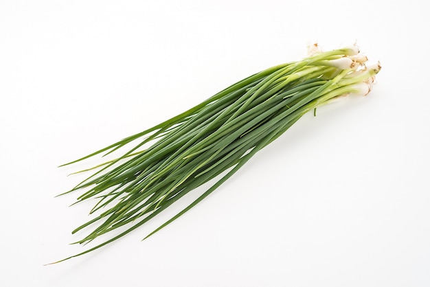 spring onion isolated on white background