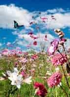Foto gratuita scena primaverile con fiori e farfalle