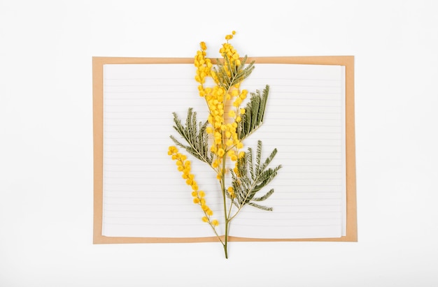 Foto gratuita set di primavera di un ramo di fiori di mimosa e un notebook su uno sfondo bianco