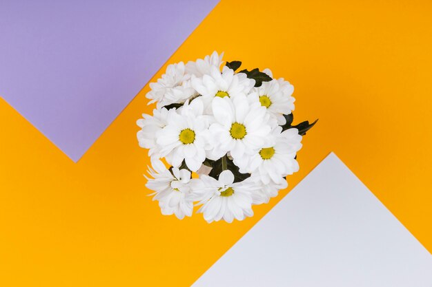 Spring white flowers arrangement with empty cards