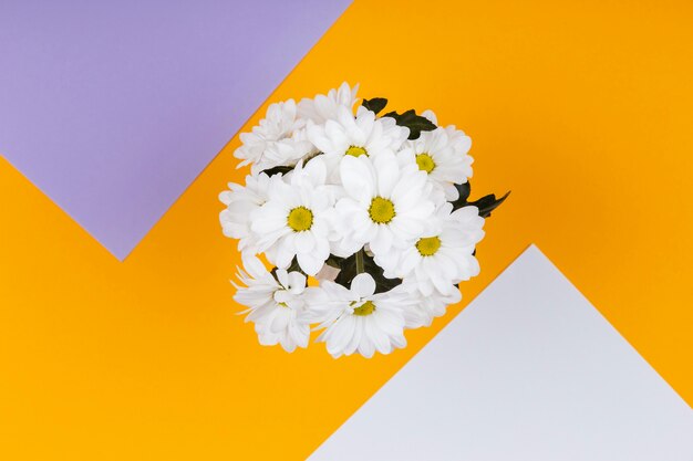 빈 카드와 함께 봄 흰색 꽃 배열