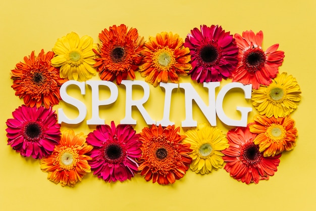 Spring word in bright flowers