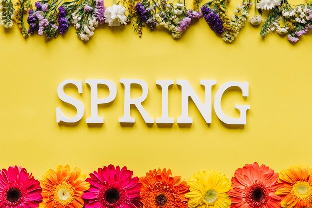 spring word and different flowers