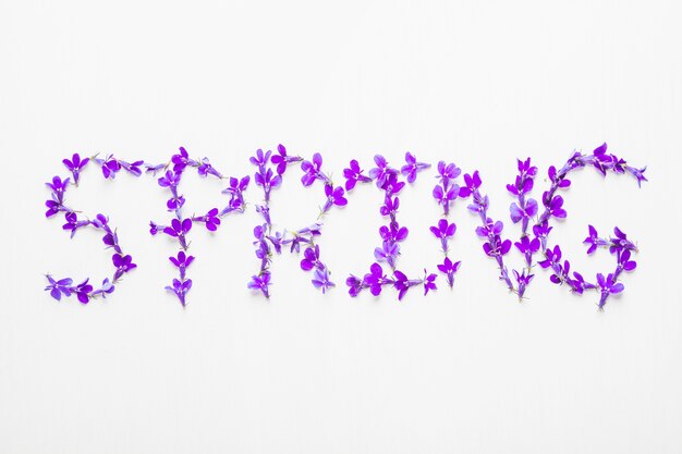 Spring word made of flowers