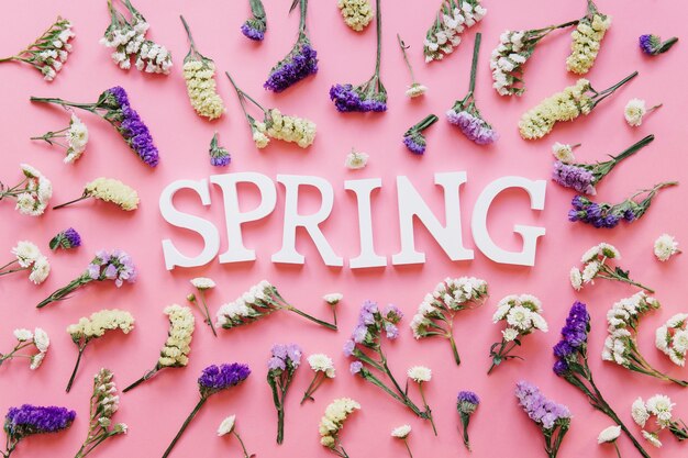 spring word in small flowers