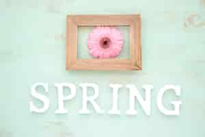 Free photo spring writing under frame and flower