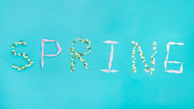 Free photo spring writing from petals