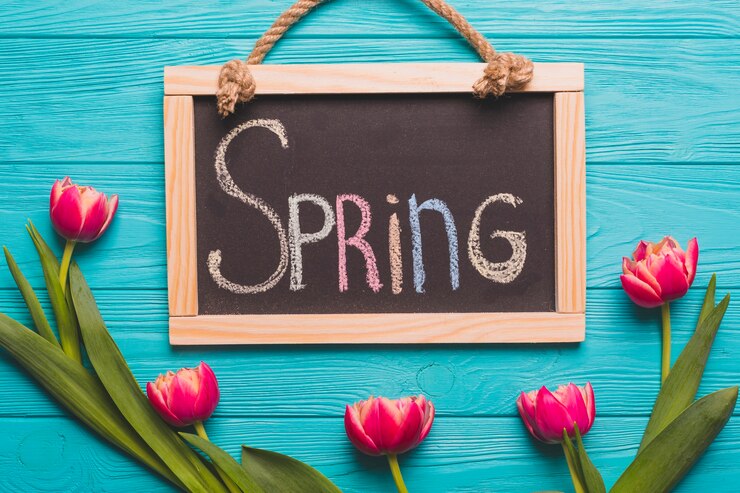मुफ़्त फोटो spring writing near fuchsia tulips