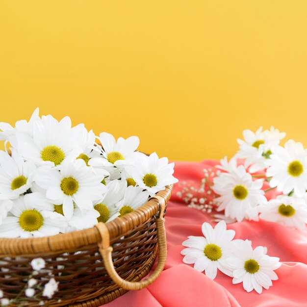 Springtime concept with basket of daisies