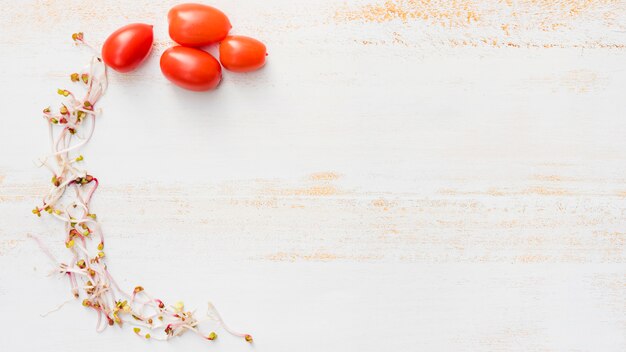 Sprouts and cherry tomatoes arch on white desk backdrop