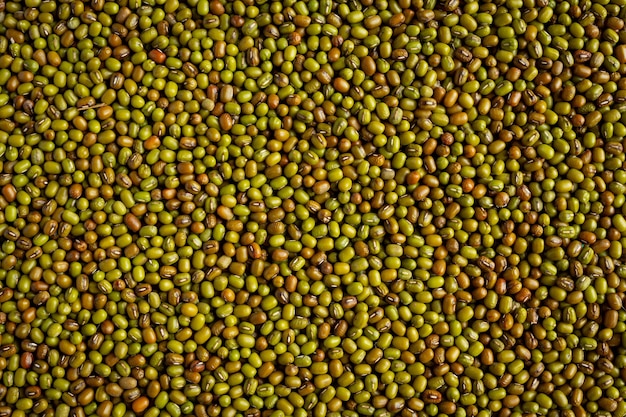 Sprouts seed background