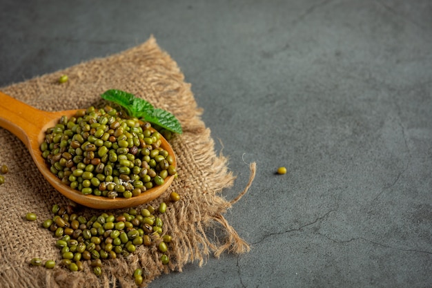 Sprouts seed in wooden spoon