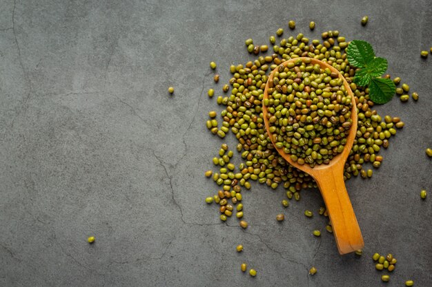 Sprouts seed in wooden spoon