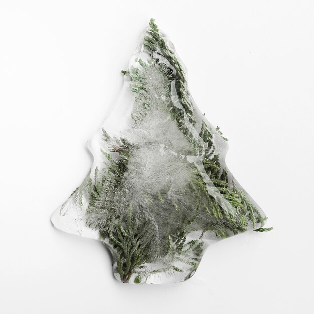 Spruce needles in ice in form of Christmas tree