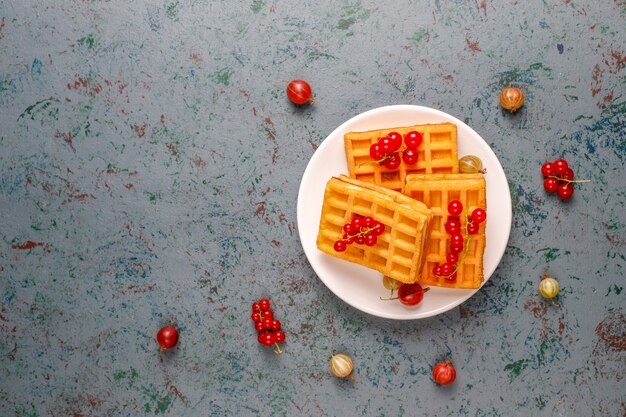 Square belgian waffles with loquat fruits and honey