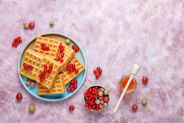 Square belgian waffles with loquat fruits and honey