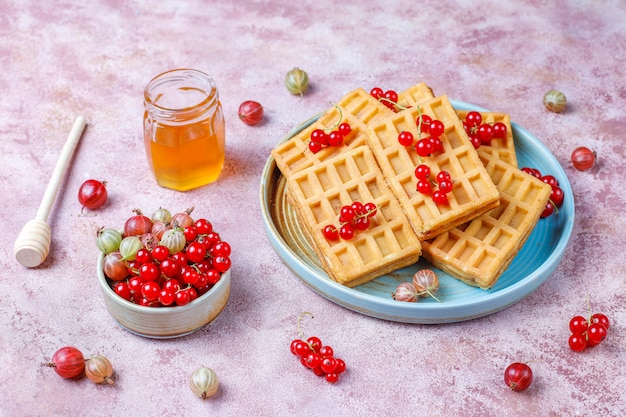 Square belgian waffles with loquat fruits and honey.