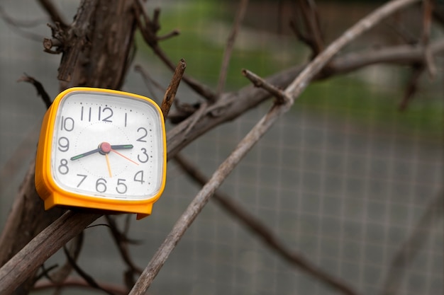 Square clock outdoors still life