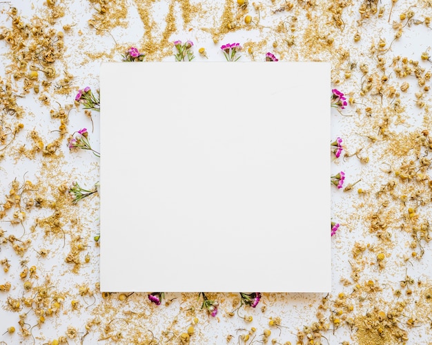 Square paper sheet on flowers