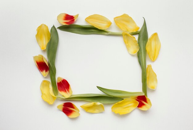 Squared frame of flower petals