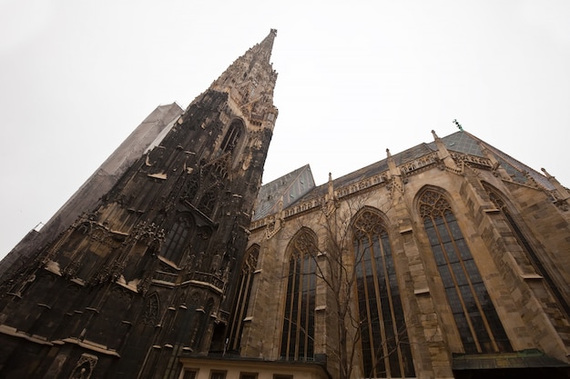無料写真 ウィーンの聖シュテファン大聖堂