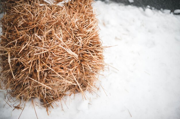 雪に覆われた表面に乾いた草のスタック