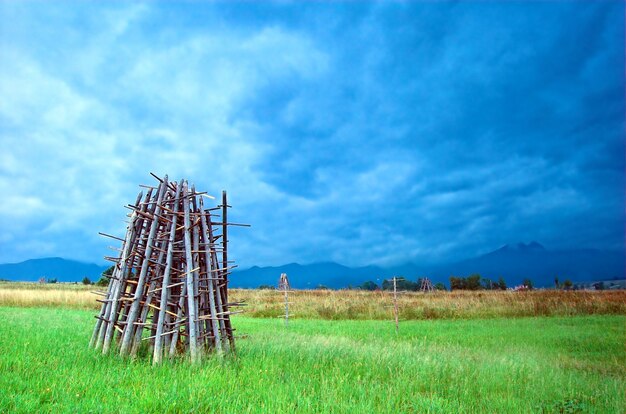 Stack of firewood in the meadow