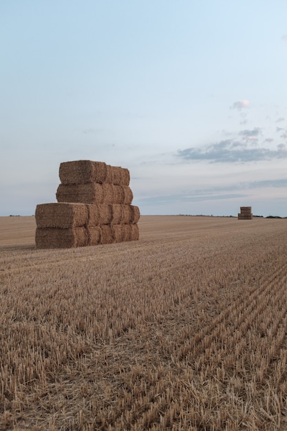 A stack of hay in a field