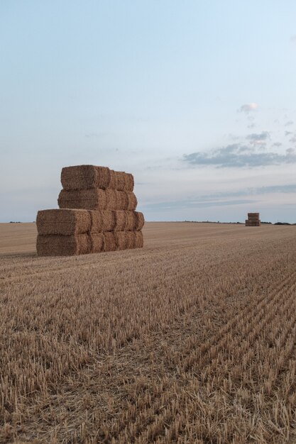 A stack of hay in a field