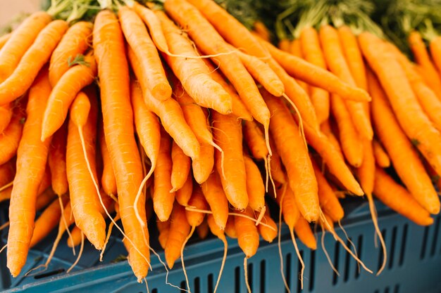 Стек оранжевой собранной моркови