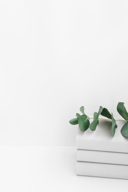 Stack of three books with twig on white background