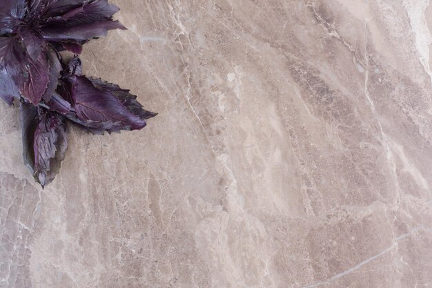 大理石の表面にアマランサスの葉の積み重ねられた束