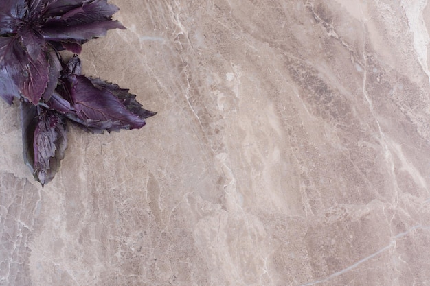 無料写真 大理石の表面にアマランサスの葉の積み重ねられた束