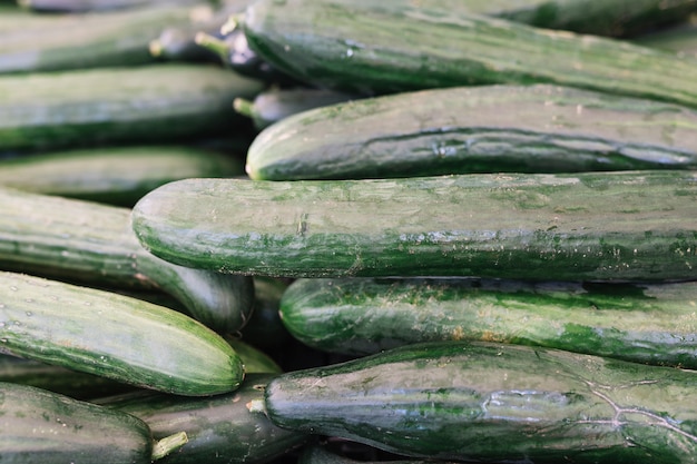 Stacked of harvested cucumber