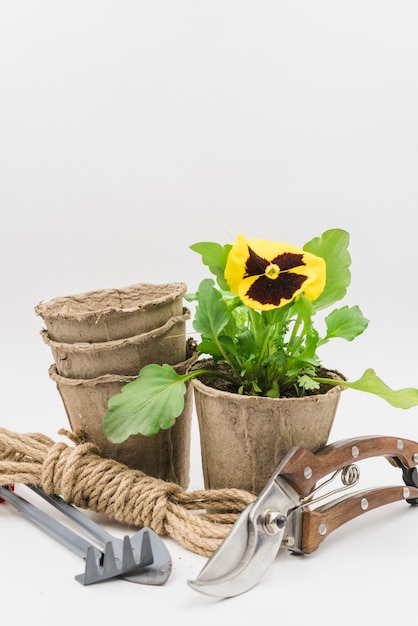 Stacked of peat pots; rope bundle; gardening tools and secateurs isolated on white background