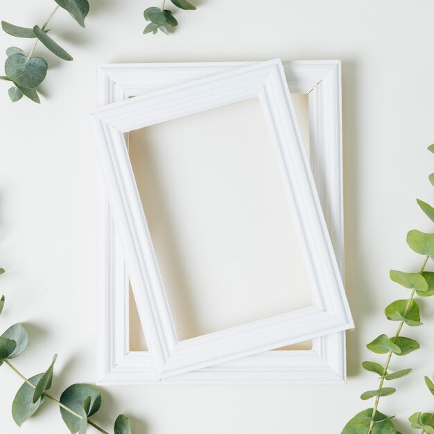 Stacked of white border frames with green leaves twig on white backdrop