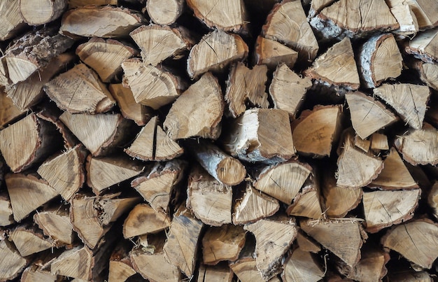 Free photo stacked wood trunks