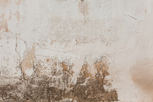 Stained damaged stucco wall