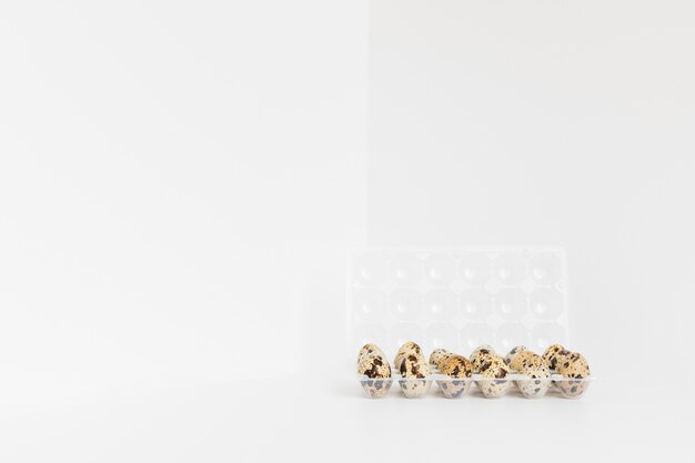 Stained quail eggs on white background